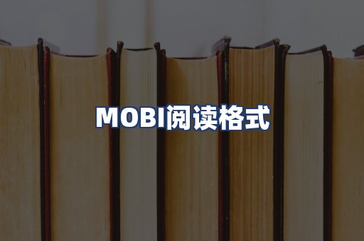 MOBI阅读格式